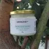 Moringa Luxurious Body Butter