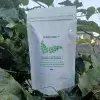 Moringa Leaf Powder